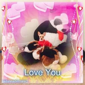 Meet your Posher, Frank